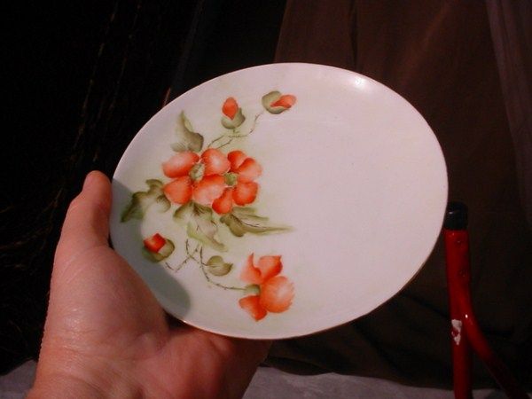   TITANIC Royal Austria FLORAL PLATES 6 Roses POPPIES Fine China LOVELY